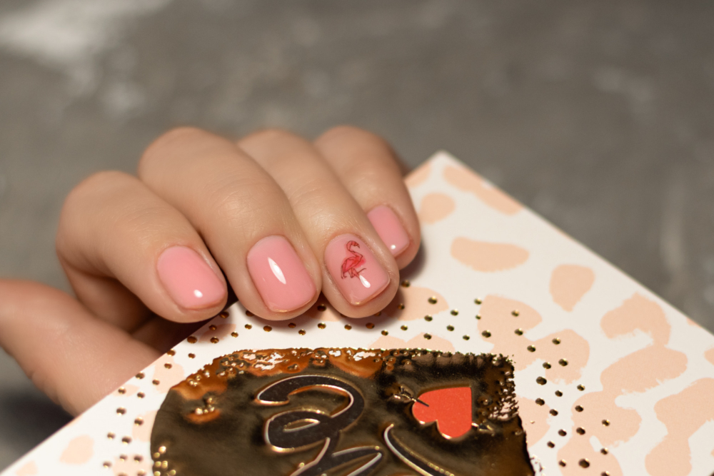 Dream Nails Day Spa (Dowlen Road B) in Beaumont, TX (5)