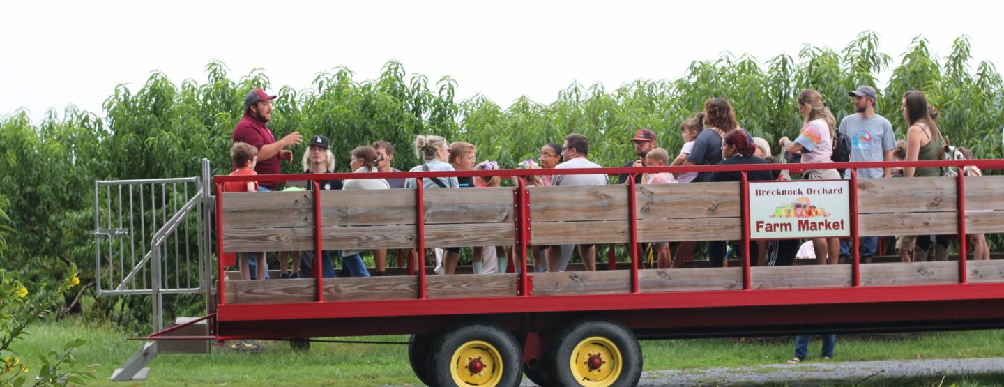 Brecknock Orchard in Mohnton, PA (2)