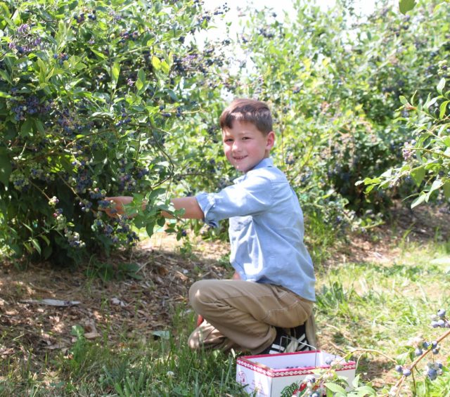 Brecknock Orchard in Mohnton, PA (4)