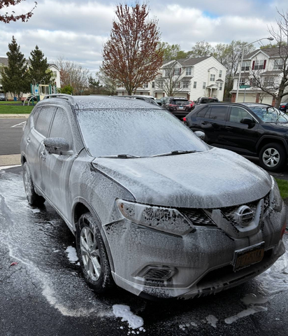 D1 Detailing in Lombard, IL (4)