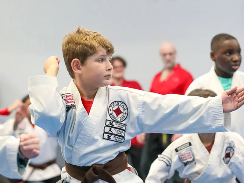 Tristar Martial Arts of Mount Airy in Mt Airy, MD (4)
