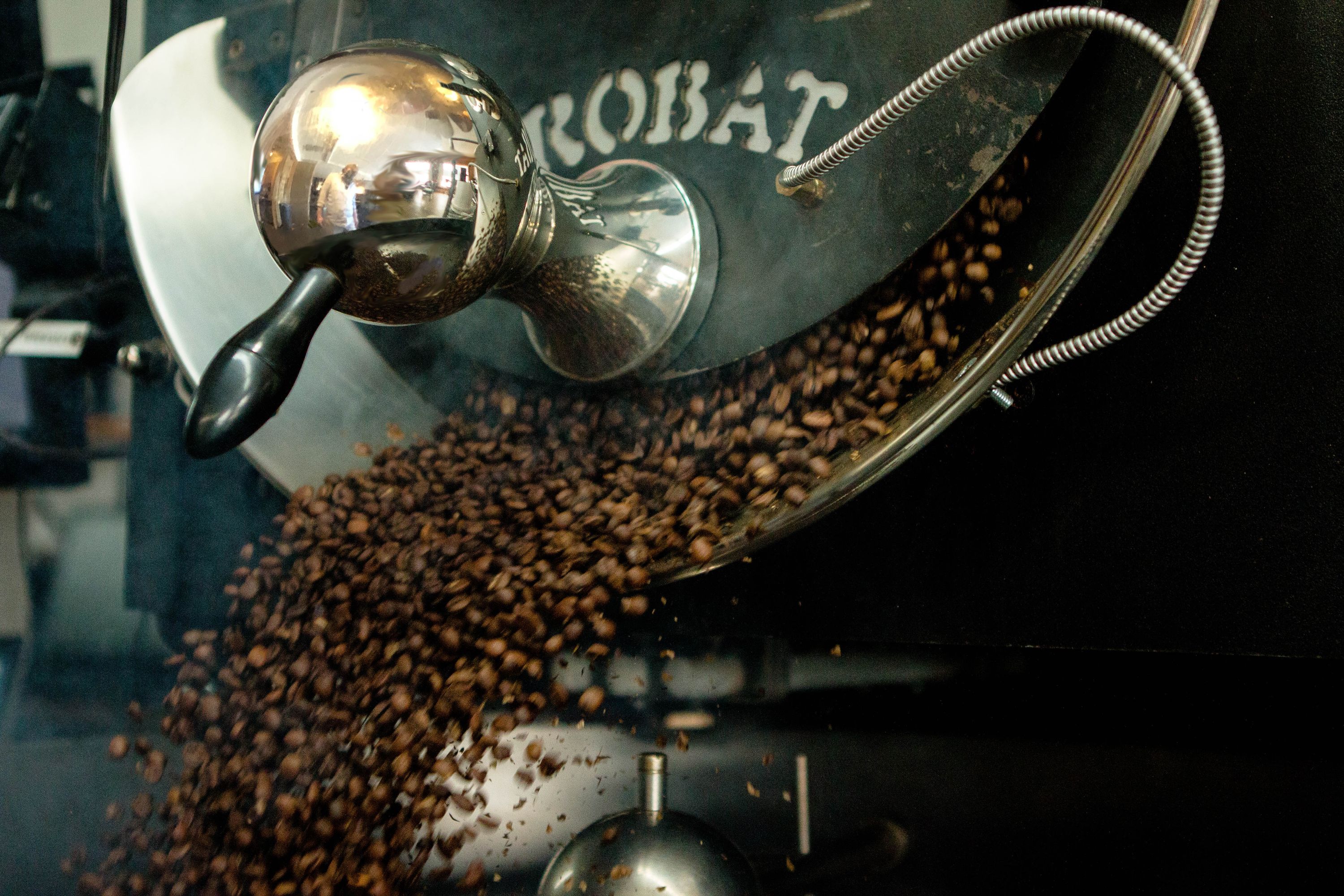 Leopard Forest Coffee Company in Travelers Rest, SC