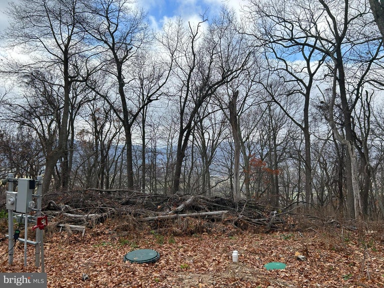 Lost River Real Estate in Lost City, WV (6)