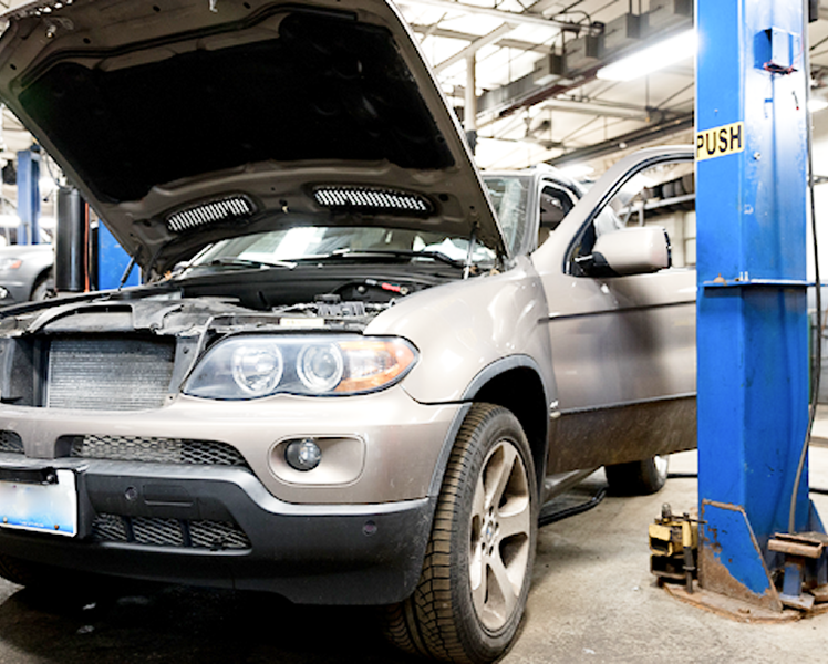 Autohaus Service & Sales in Royal Oak, MI