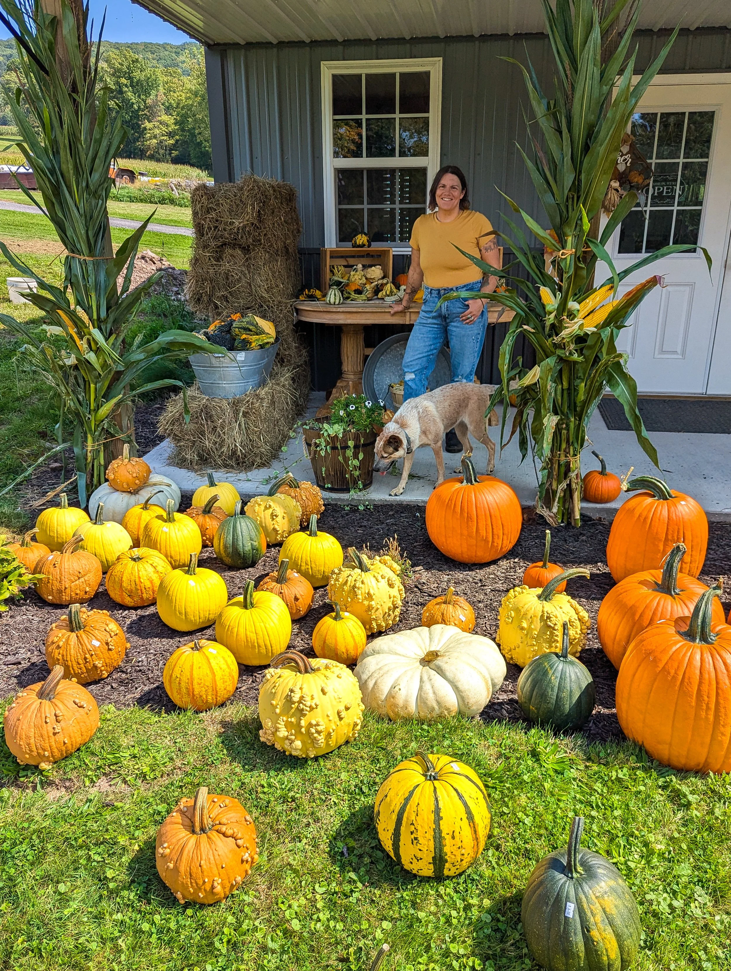Applewood Farm Market in Jermyn, PA (2)