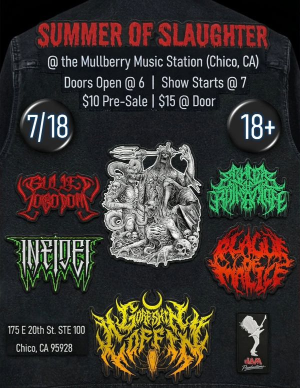 Mulberry Music Station Brewpub in Chico, CA (3)