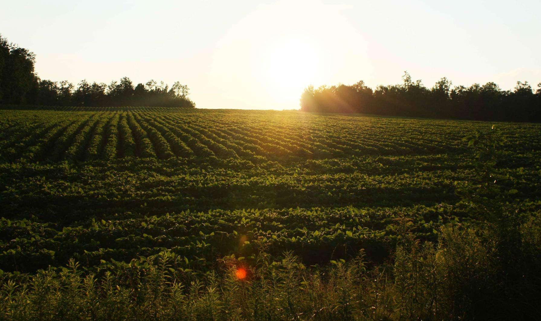 Rusk County Development (Economic & Community) in Ladysmith, WI