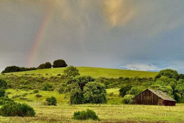 Candice Signa, Santa Barbara County's ALOHA Realtor in Santa Ynez, CA (5)