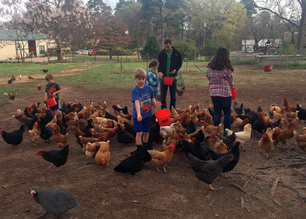 Greer Farm in Daingerfield, TX (2)