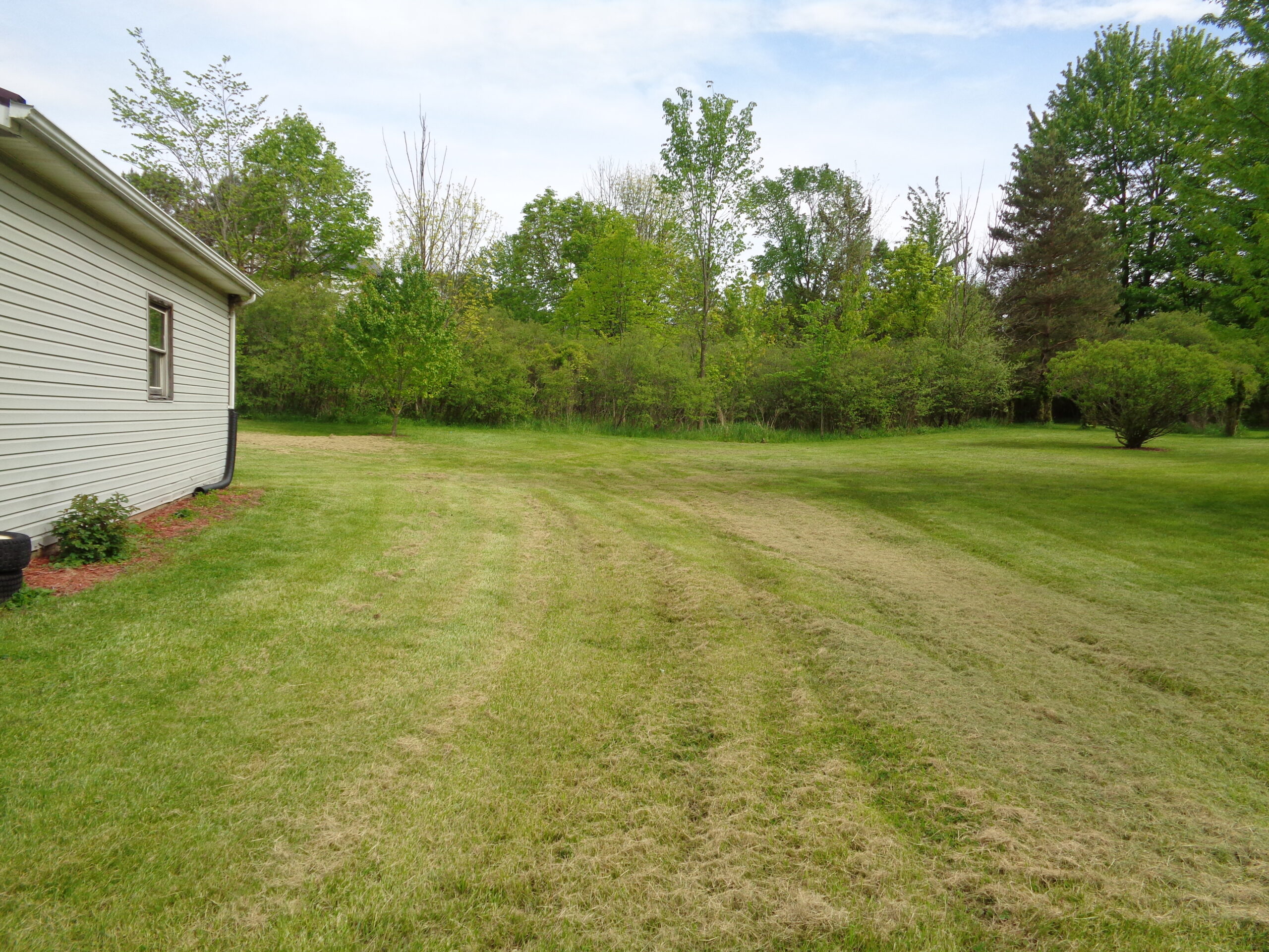 Clinton Castle Realty Inc in Willard, OH (4)