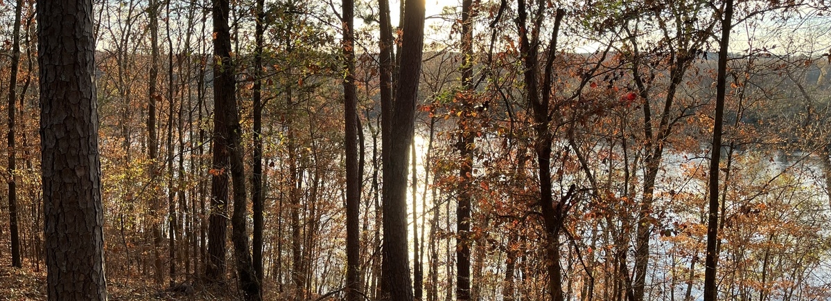 J B Lofton Co in Cheraw, SC (2)