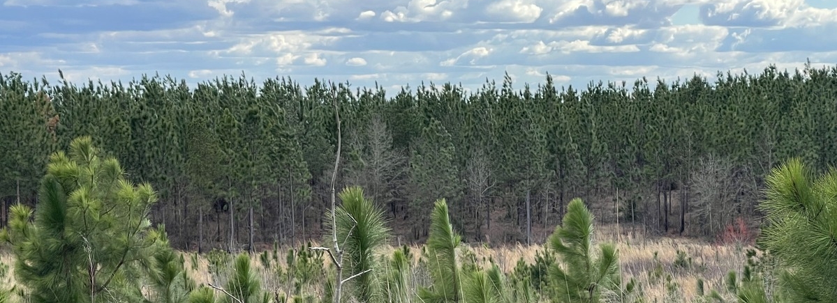 J B Lofton Co in Cheraw, SC (6)