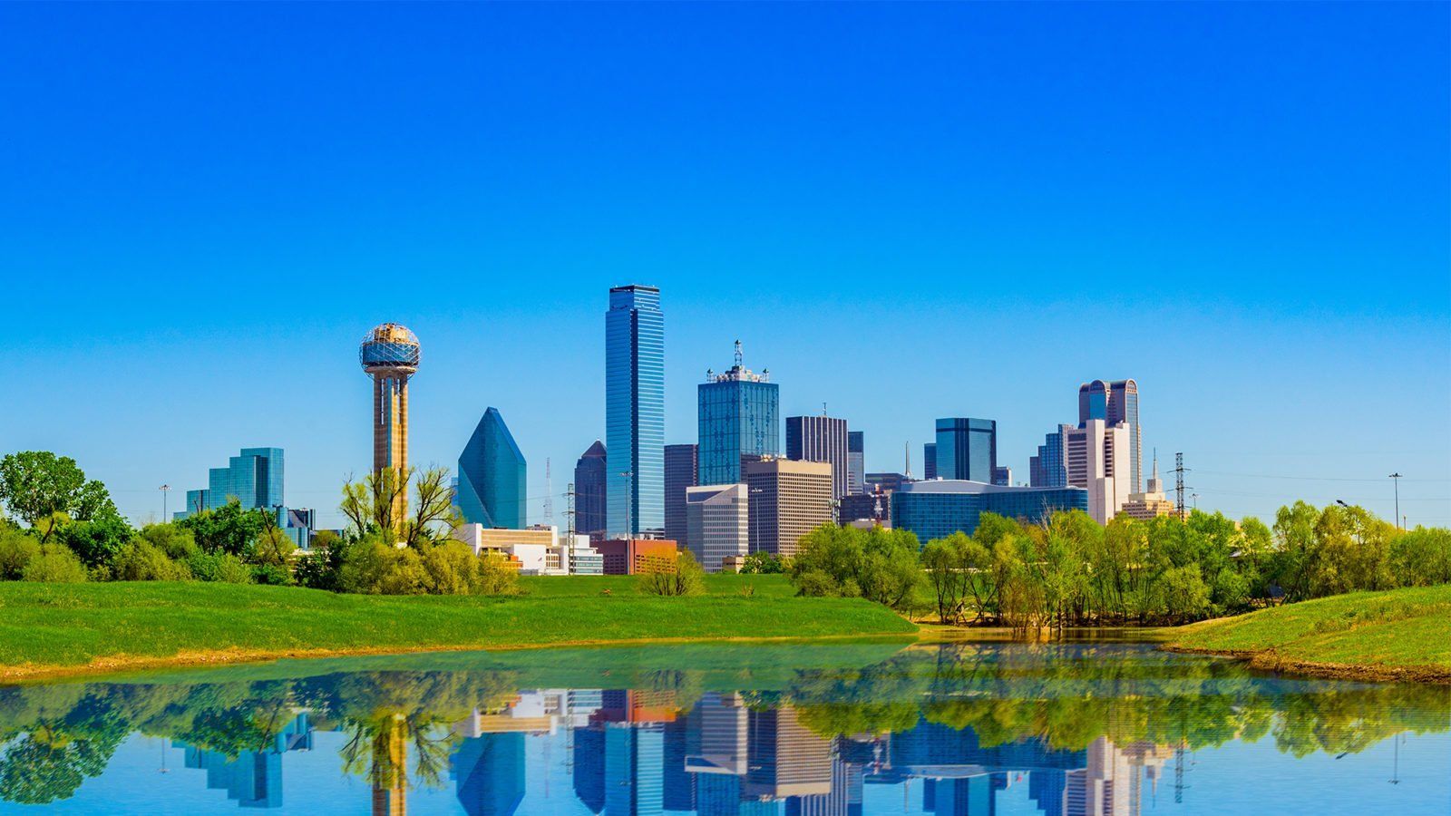 The Settle Law Firm, PLLC in Murphy, TX