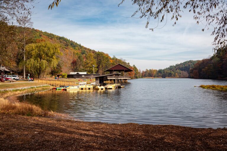 Austin Moore & Company Real Estate in Longview, TX (4)