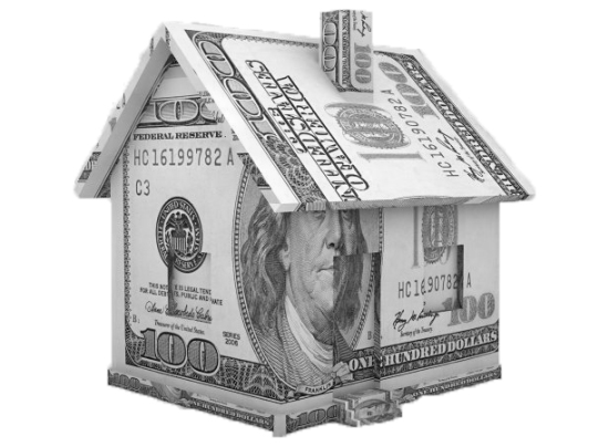 Bay Realty of Florida in Tampa, FL (5)