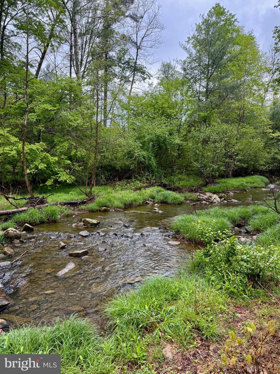 Realtor Alisha Lowery in Tallmansville, WV