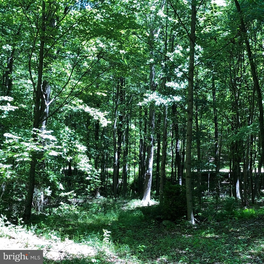 Realtor Alisha Lowery in Tallmansville, WV (4)