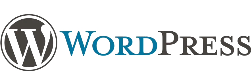 Frisco Web Agency in Plano, TX (4)