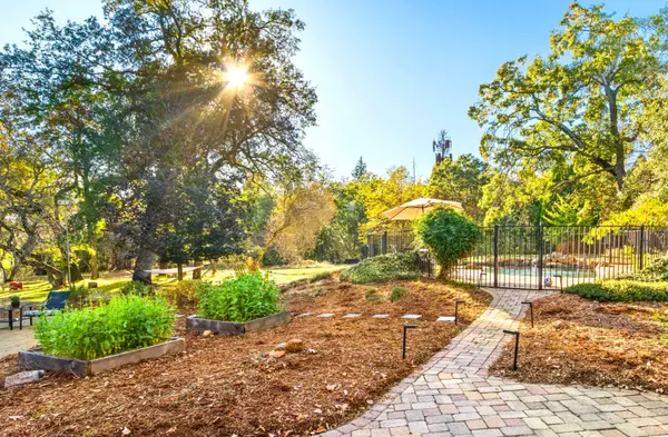 Susan Wise, eXp Realty DRE# 01952707 in Placerville, CA (4)