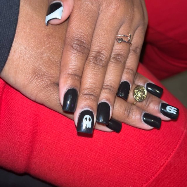 IAM_SHAY_ALEXIS_LLC in Brooklyn, NY