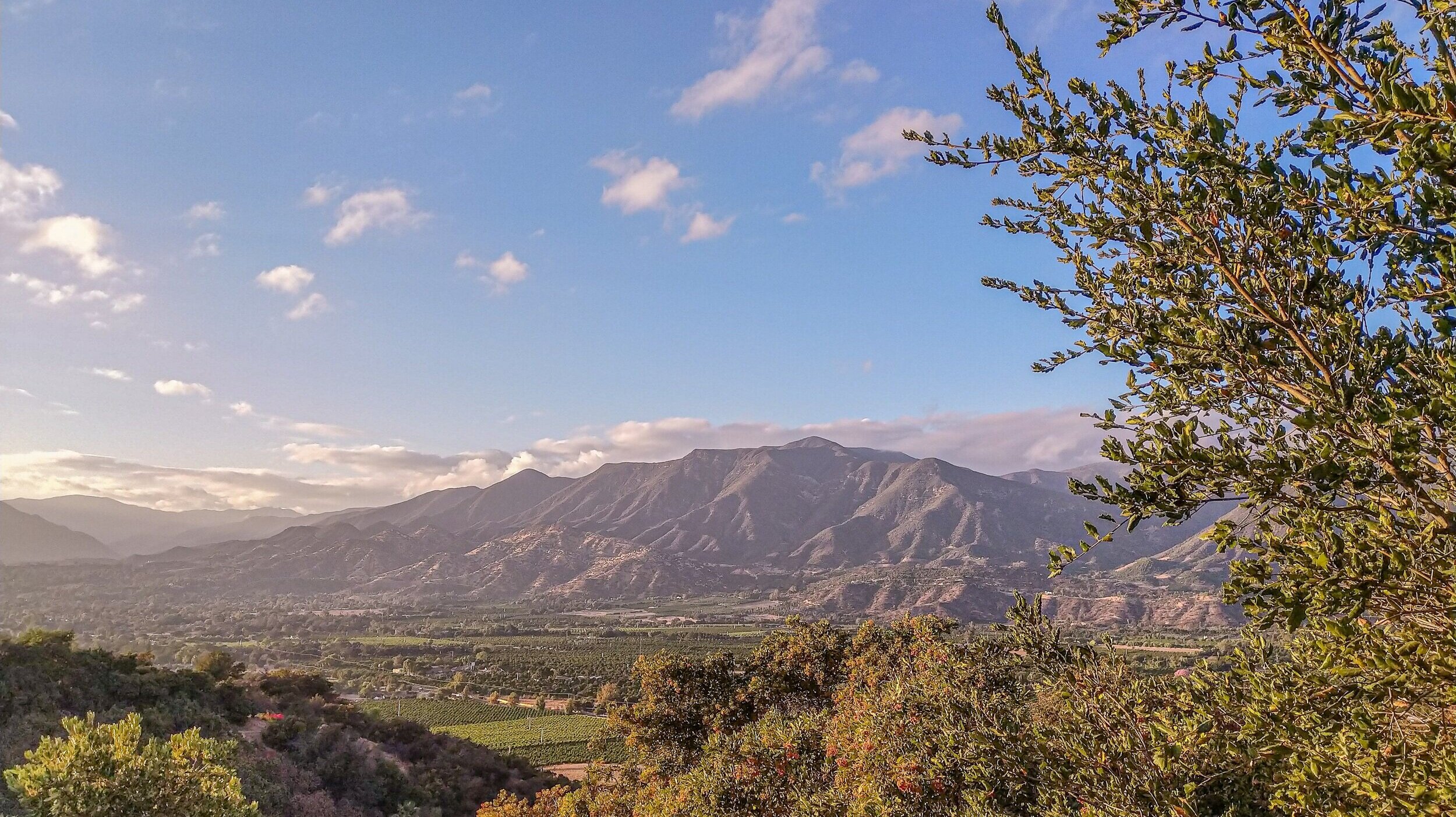 Auric Law Group Ltd. in Ojai, CA