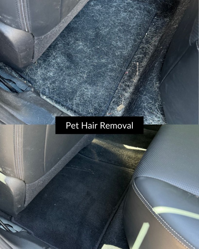 Trushine Mobile Detailing in Gazelle, CA (4)