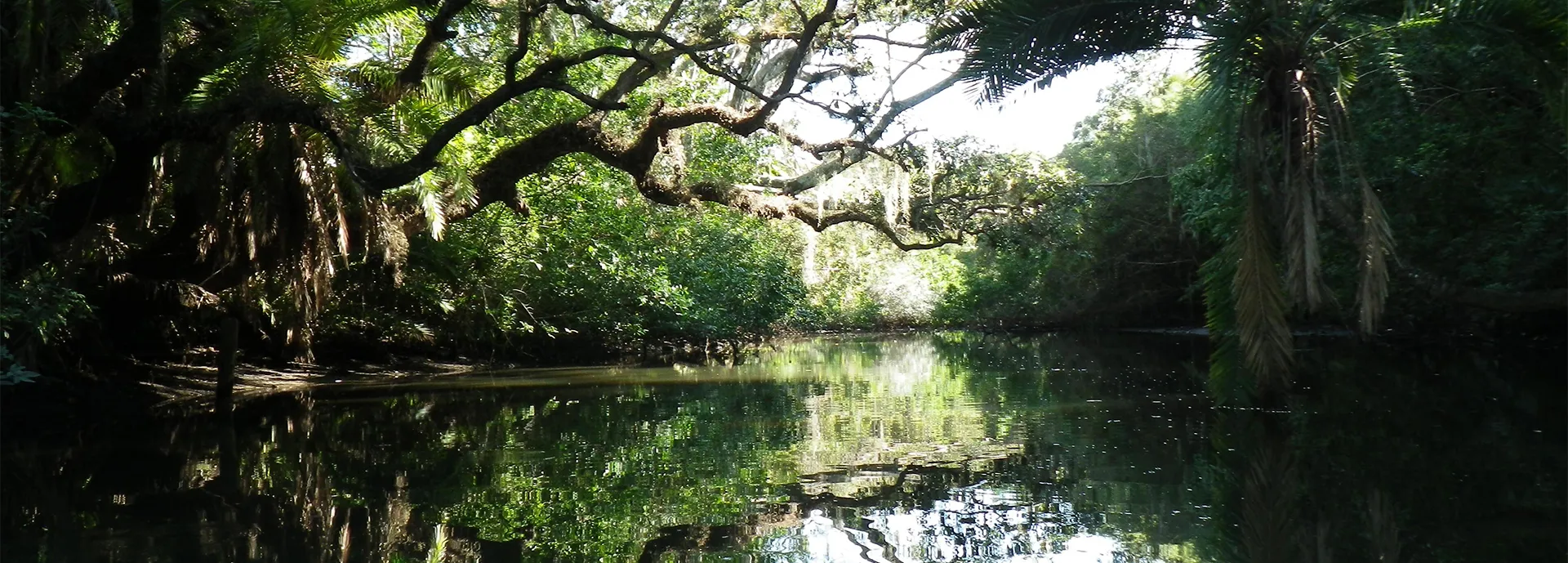 Estero River Outfitters in Estero, FL