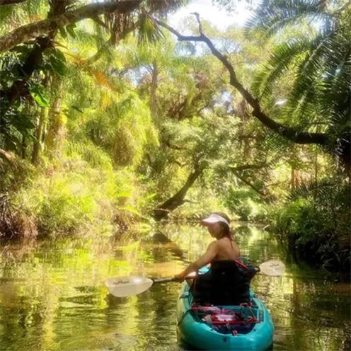 Estero River Outfitters in Estero, FL (5)