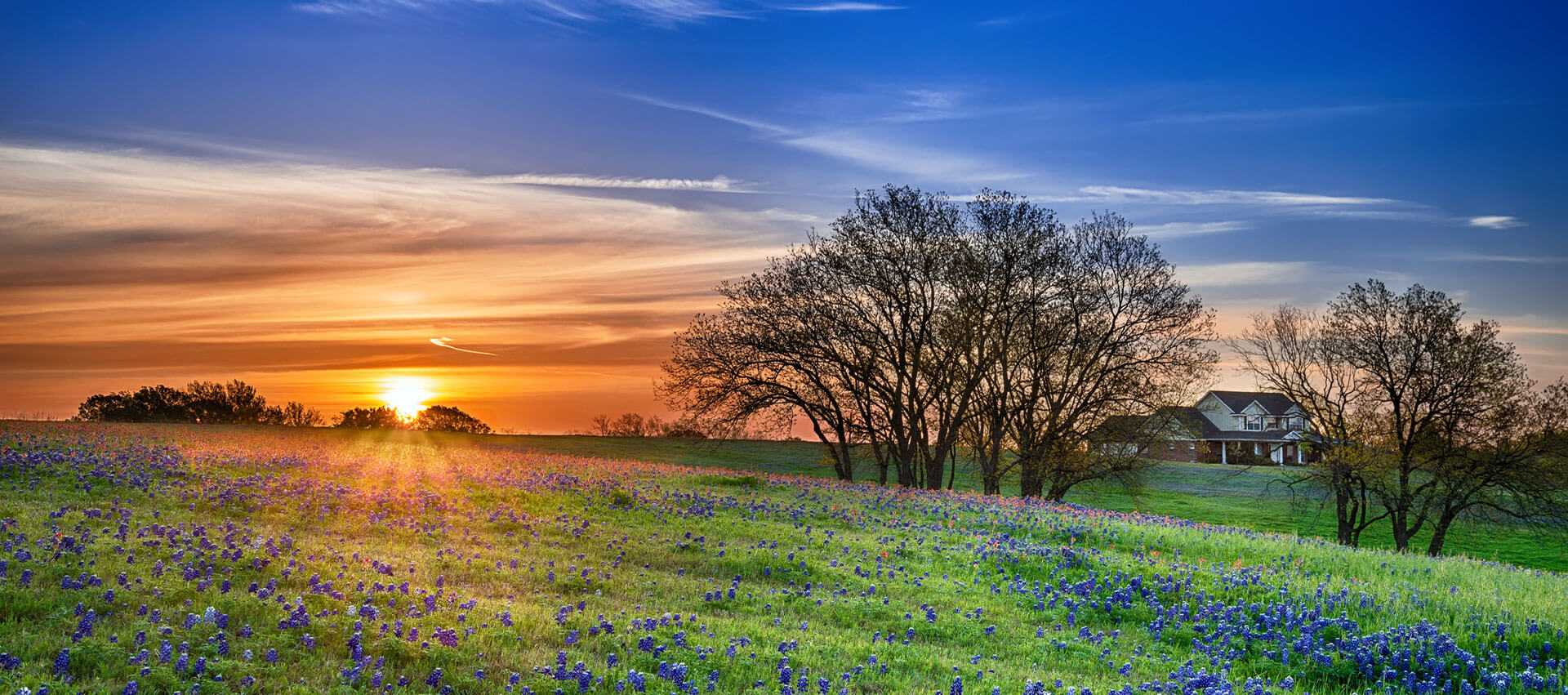 The Real Estate Ranch LLC in Midland, TX (5)