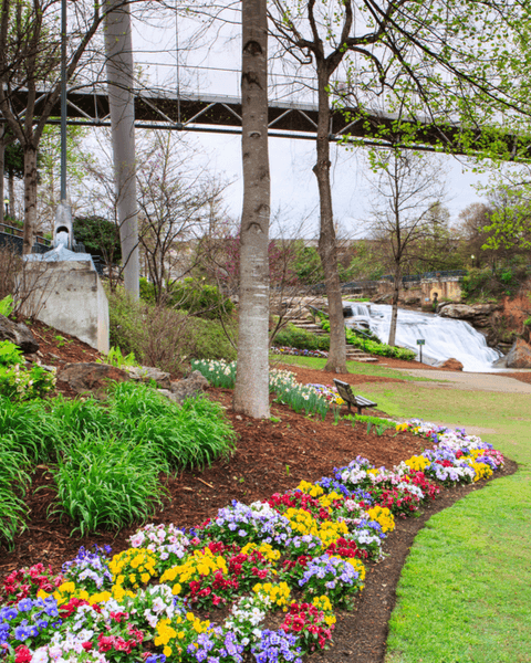 Patat Law Firm LLC in Greer, SC