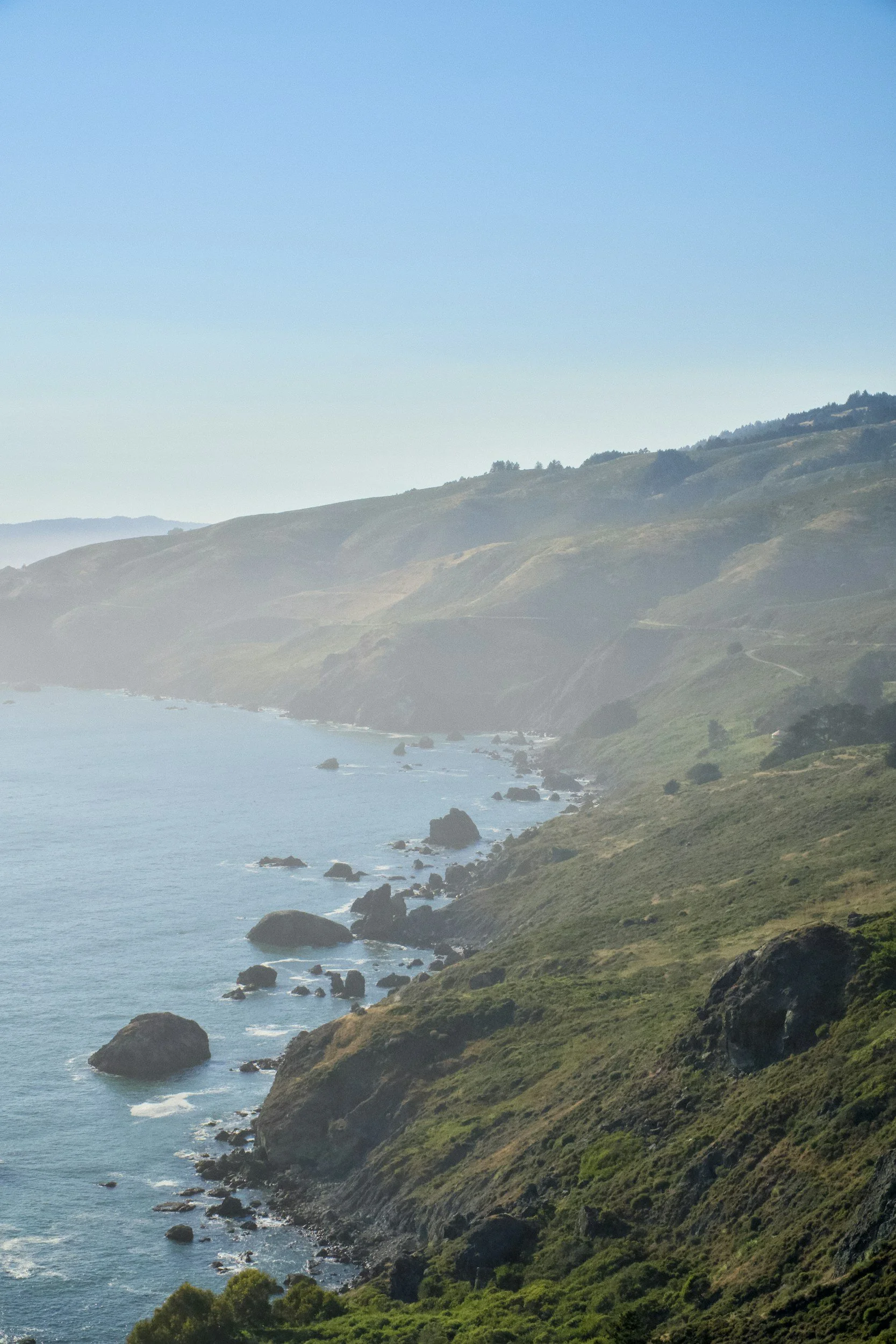 Jeannie Vandeweg, Realtor in Sebastopol, CA (2)