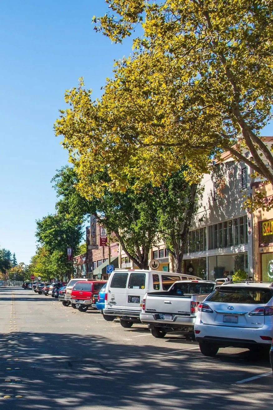 Jeannie Vandeweg, Realtor in Sebastopol, CA (6)