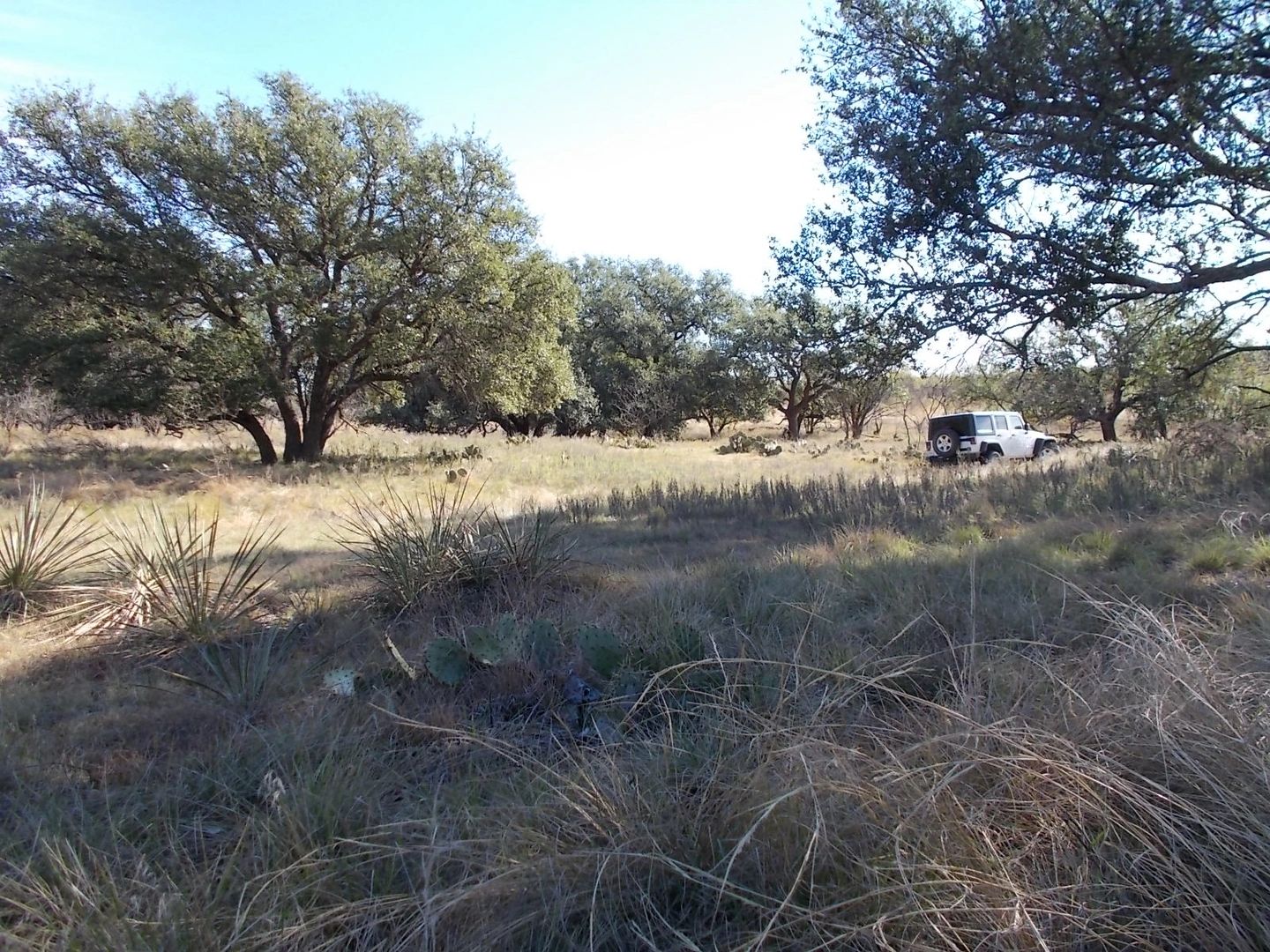Gaines Land Sales in Coleman, TX