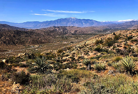 Cameron Wortman & Sean Dittmer Real Estate Team in Yucca Valley, CA (4)