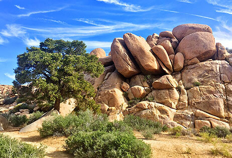 Cameron Wortman & Sean Dittmer Real Estate Team in Yucca Valley, CA (5)
