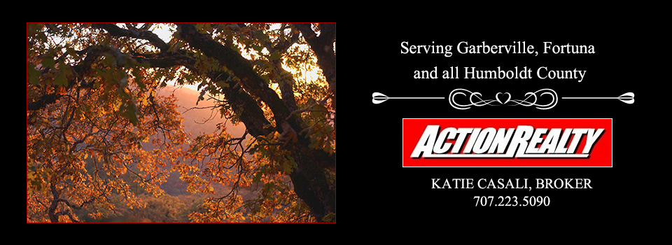 Action Realty in Fortuna, CA