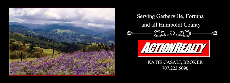 Action Realty in Fortuna, CA (2)