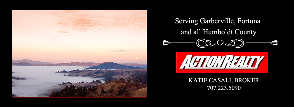 Action Realty in Fortuna, CA (3)