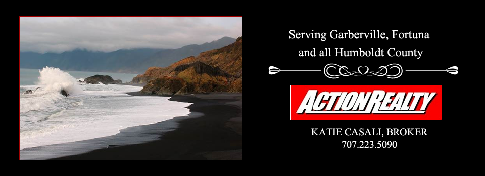 Action Realty in Fortuna, CA (4)