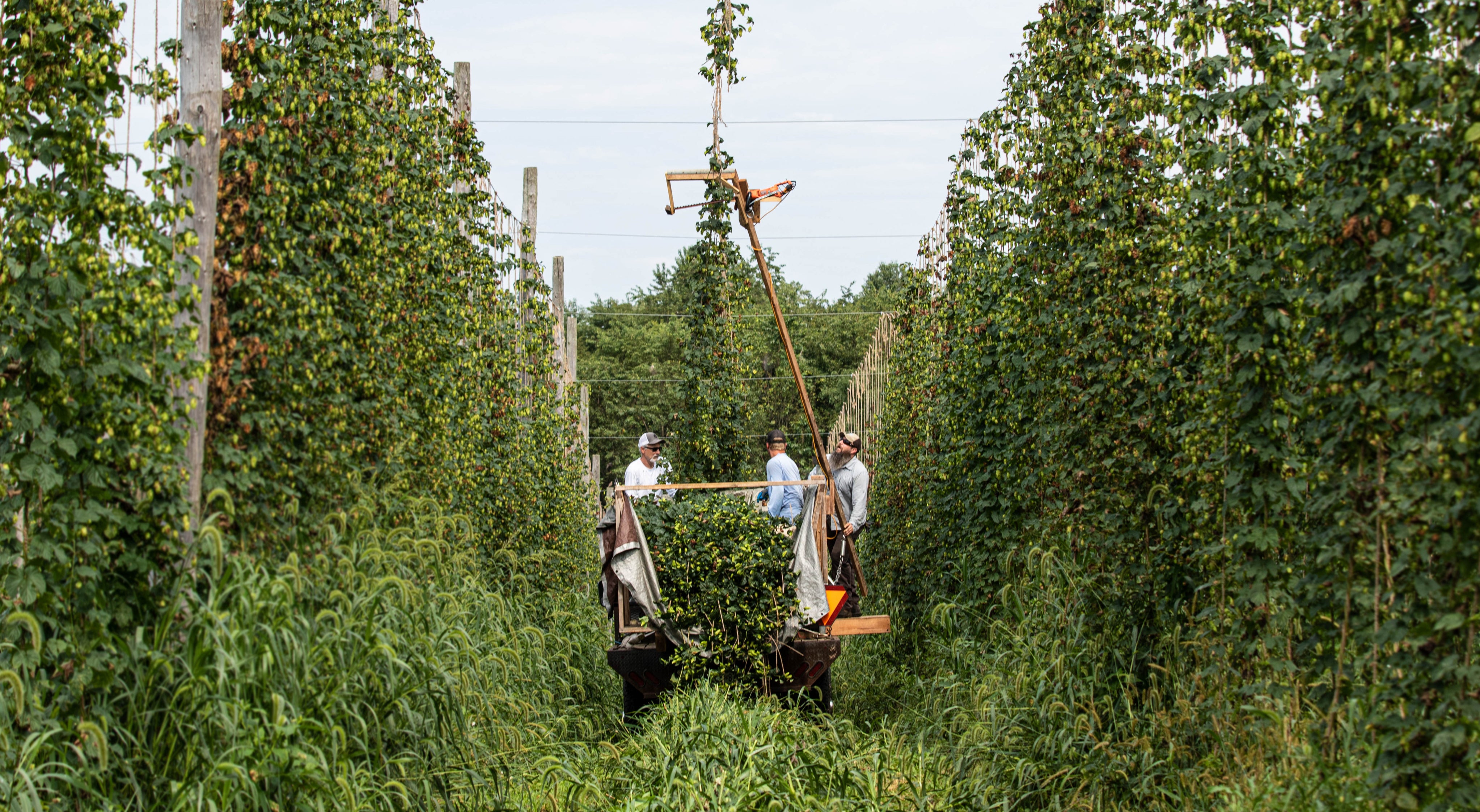 Big Truck Farm Brewery in Parkton, MD