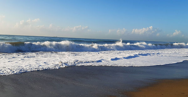 Carlsbad Tax in Carlsbad, CA
