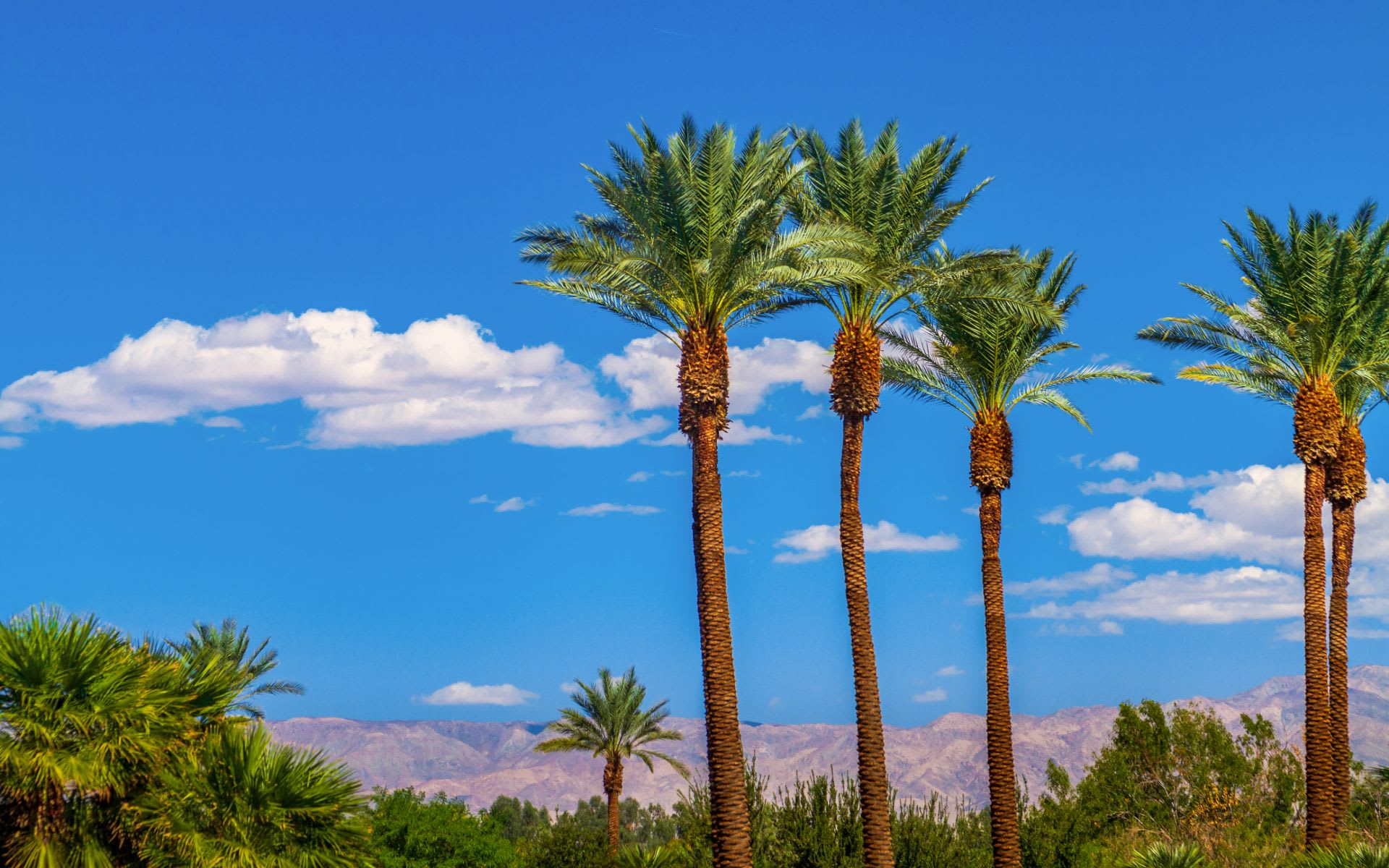 DW & Associates in Palm Desert, CA (4)