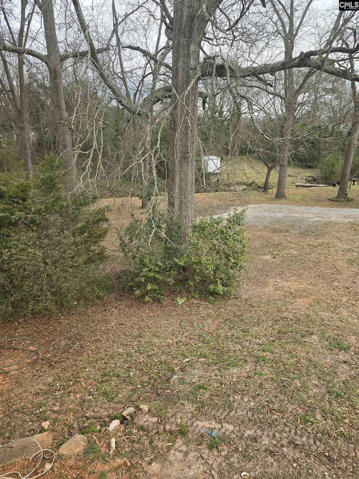 Tina Graham, CRS, ERA Wilder Realty in Chapin, SC (6)