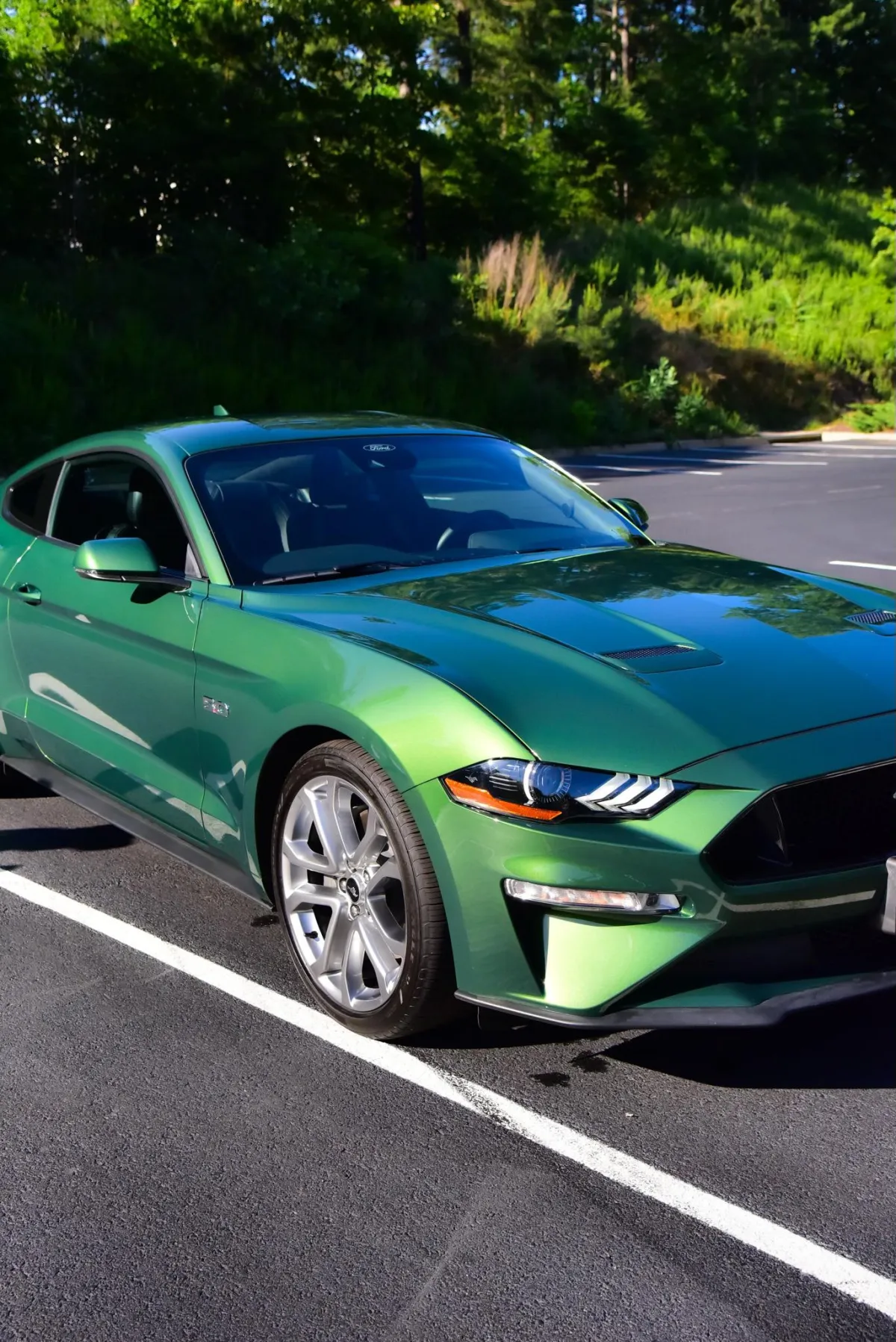 EWade Detailing in Forest, VA (4)