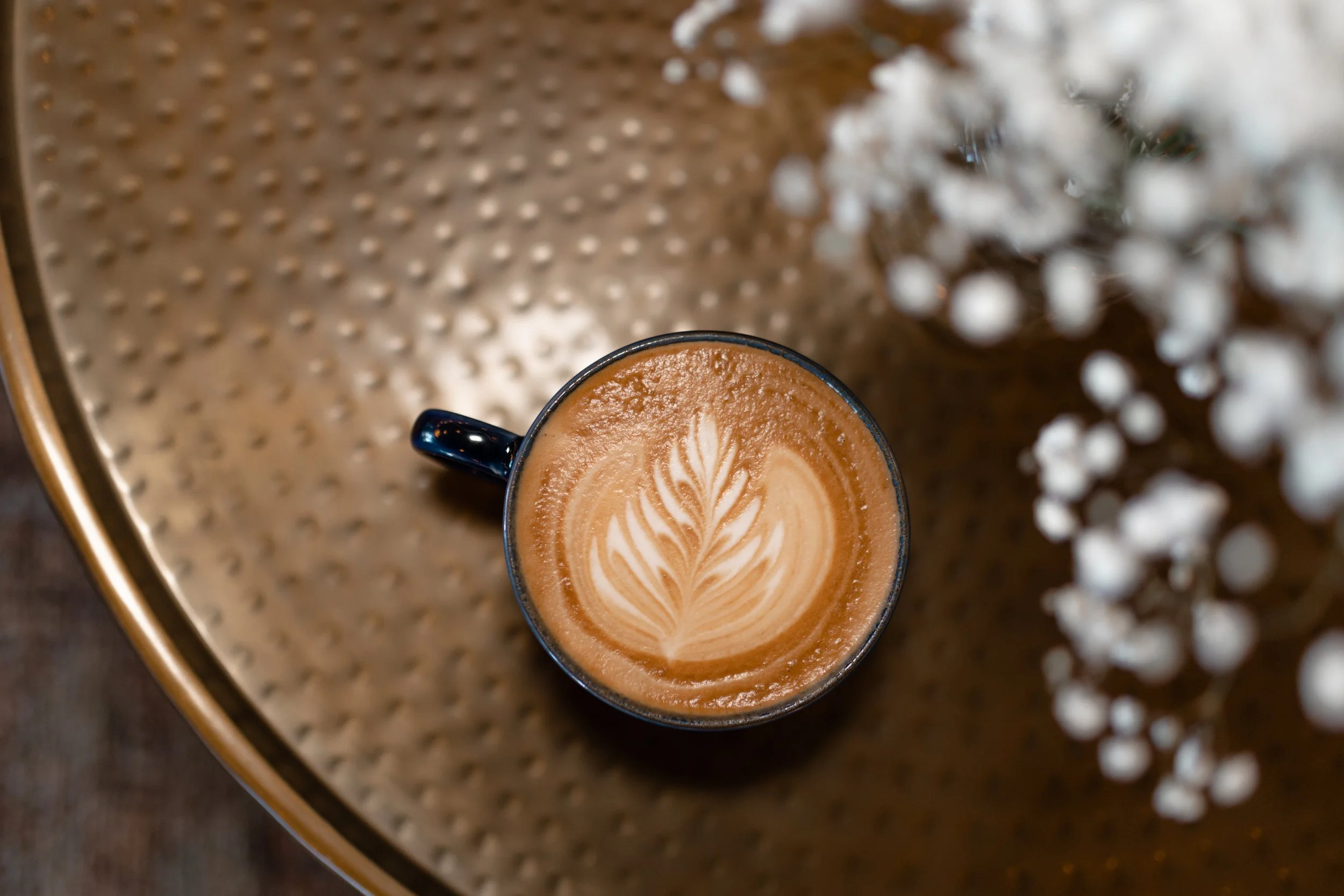 Ascend Coffee in Indianapolis, IN (3)