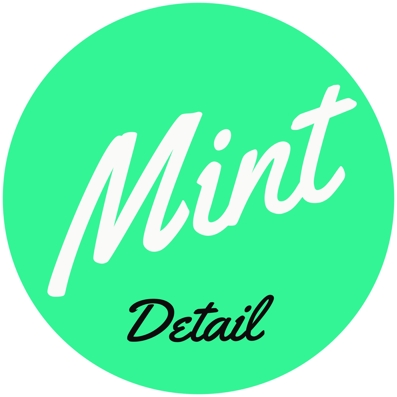 Mint Detail in Fishers, IN