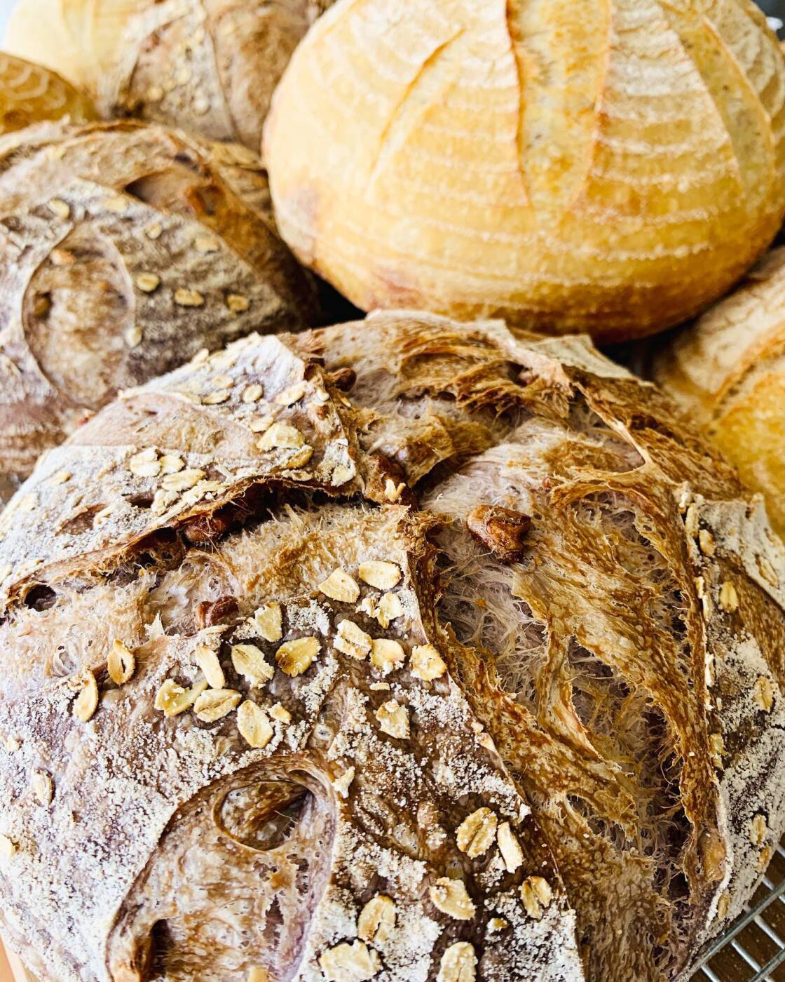 Sourdough Bread House in Casselberry, FL