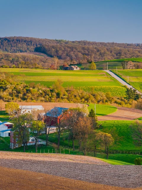 Warthen Team of Real Estate Teams, LLC in Frederick, MD (3)