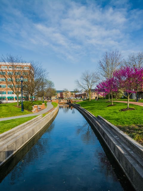 Warthen Team of Real Estate Teams, LLC in Frederick, MD (4)