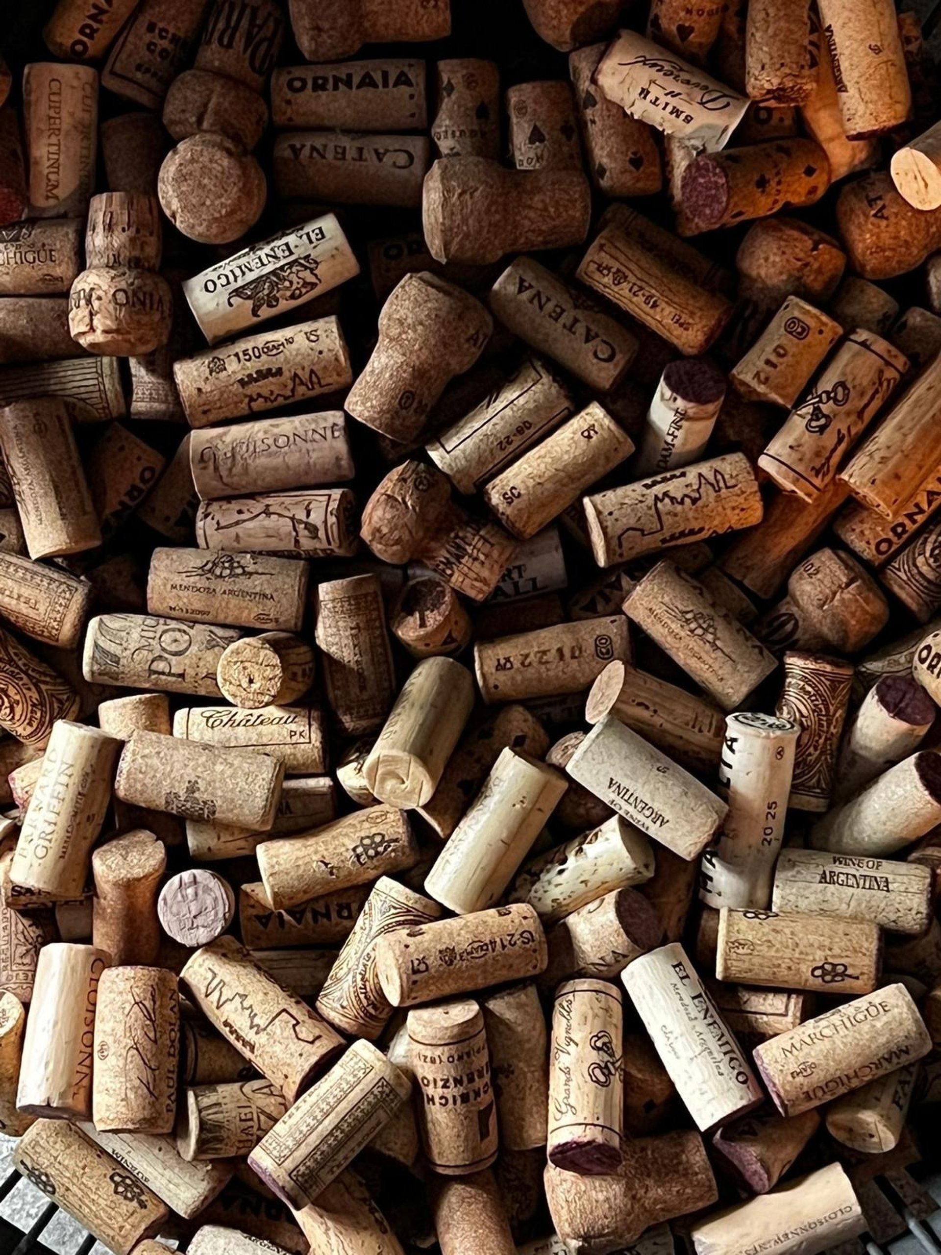 Malbec & More in Lantana, FL